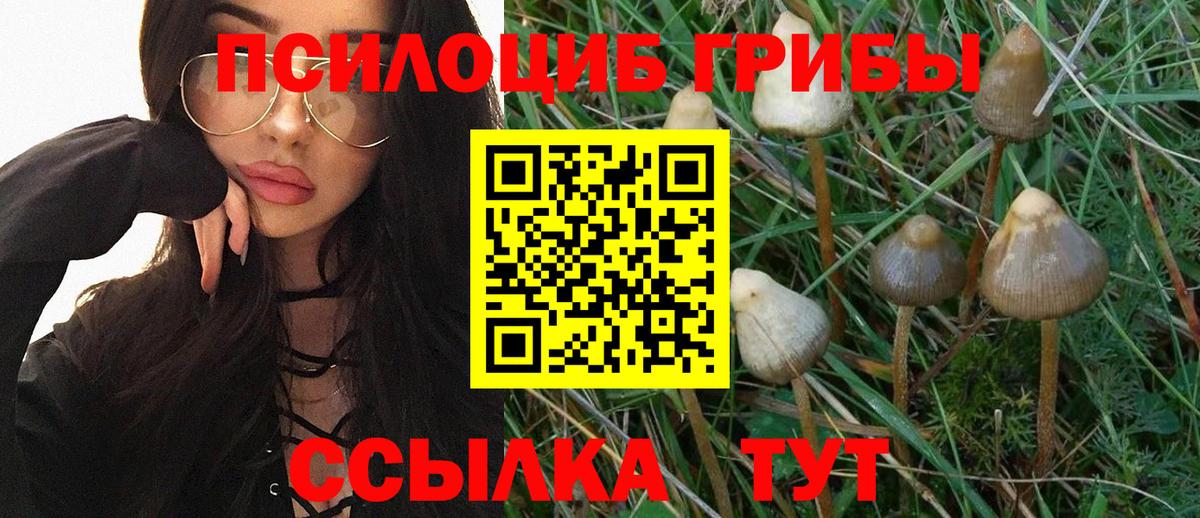 Галлюциногенные грибы Psilocybine cubensis  Вход с VPN  купить   Лабинск 